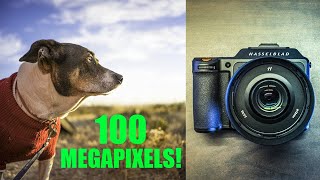 Hasselblad X2D 100C Camera | MASSIVE REVIEW (and lenses)
