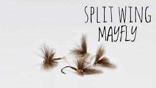 Download Lagu Split Wing Mayfly - Quick Step By Step / TroutCastz MP3 Download Lagu Split Wing Mayfly - Quick Step By Step / TroutCastz MP3