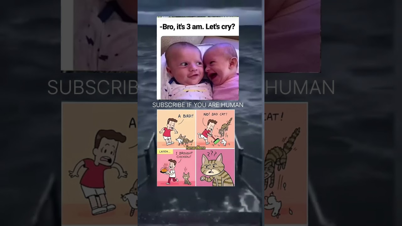 "The True Definition of a 3 AM Friendship! 😅"