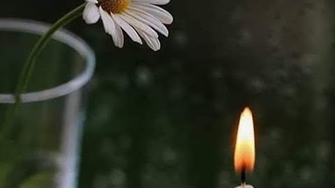 سورة التوبة (ص - ١٩١) || القارئ الشيخ إدريس أبكر حفظه الله