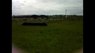 bella and me jumping.3GP