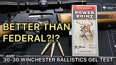 BIG BUCK KILLERS?! 30-30 170gr Winchester Power Point Ammo Test