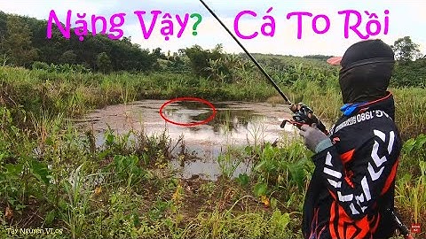 Phát Hiện Bãi Lure Hồ Rong Rêu Toàn Cá To | Câu Cá Lóc Tự Nhiên