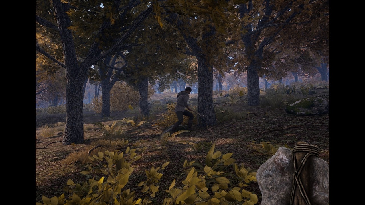 ПОКОЛЕНИЕ ХОТЕЛОК  ▶ Medieval Dynasty # 5