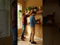 Beautiful Room Flower Pot Setting Ideas | Indoor Plant Decor