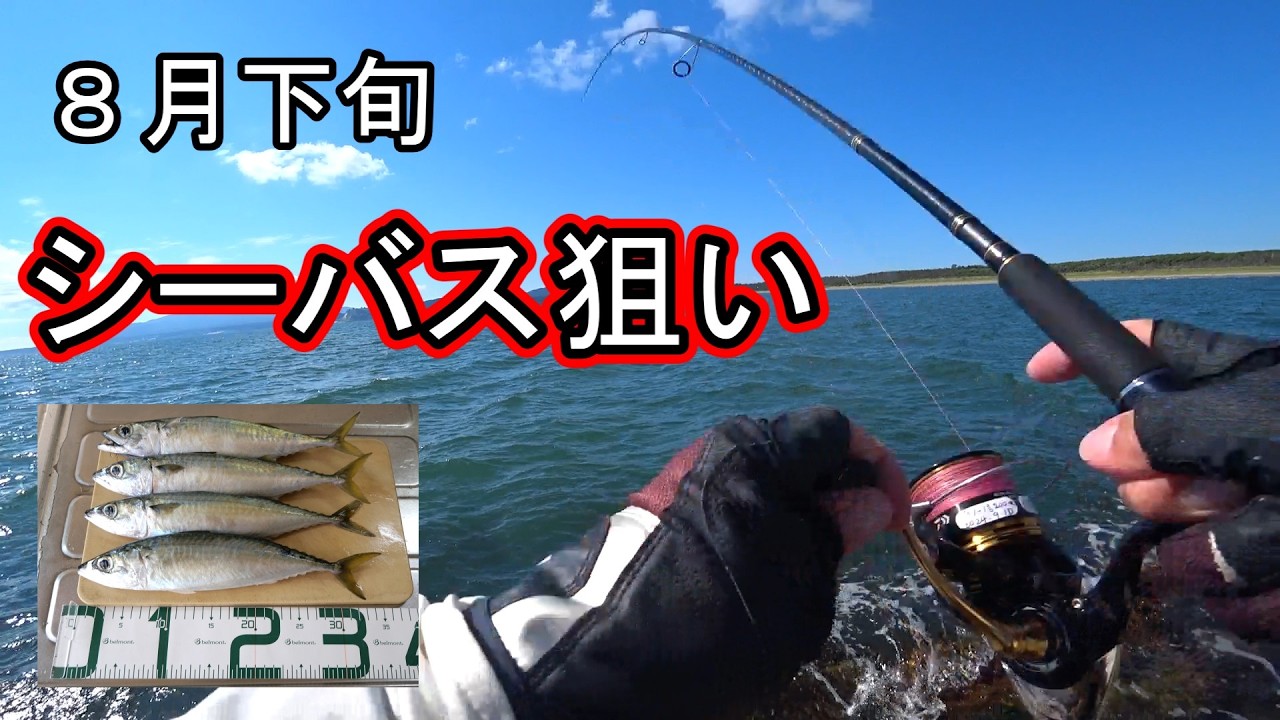 みき丸様 YouTube