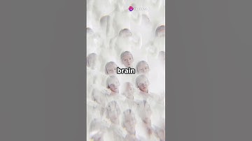 Why Do We Get Déjà Vu? Brain Glitch Explained!#shorts