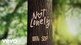 Gestört Aber Geil, Sdp - Not Lonely (Lyric Video)