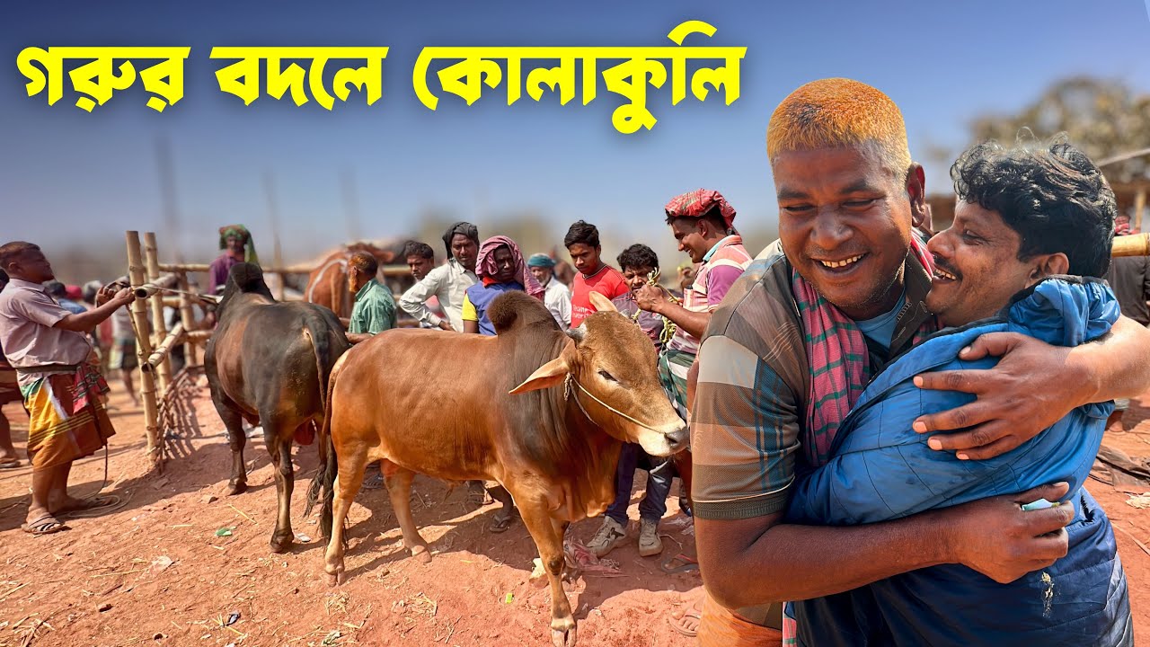 ৩২ হাজার টাকা মণ! রাজশাহী সিটি হাট ২০২৬ | Rajshahi City Haat 15 February 2026 | Akram Vai Part 1