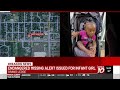 Endangered missing advisory issued for infant girl last seen in Grand Ledge