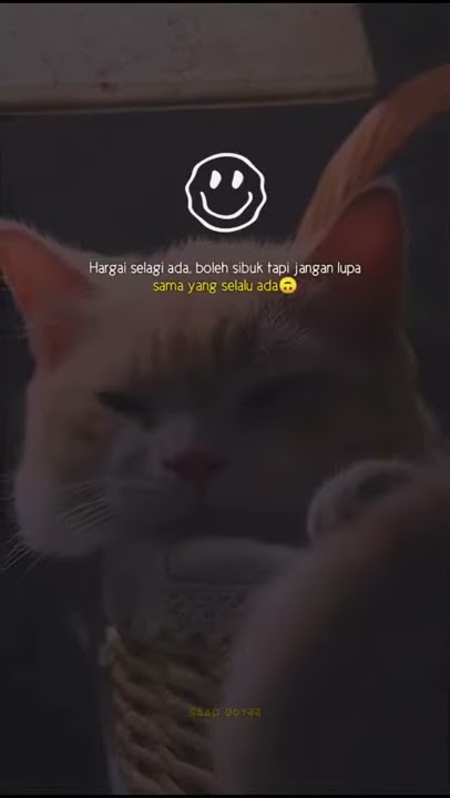 Story' wa 30 detik kucing sad:)