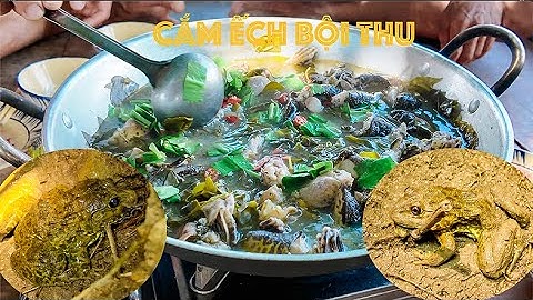 Cuộc sống săn bắt mùa nước nổi 2024 - Tập 19 | Gấc Quê