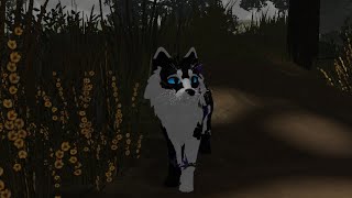 just haven't met you yet! (my first mep!) read desc by mistyfur warrior cats 11 views 1 month ago 4 minutes, 13 seconds