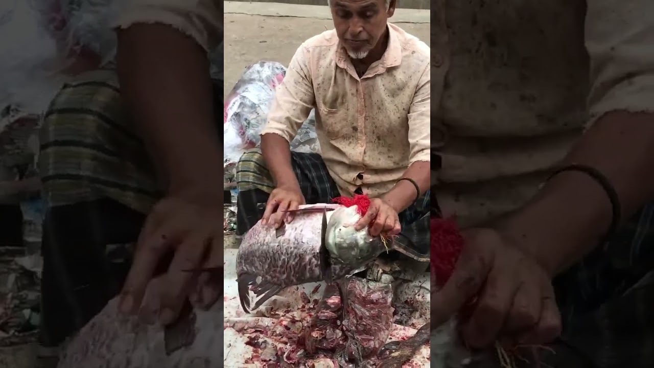 Impressive Catla Fish Filleting Techniques at the Fish Market 🐟🔪 