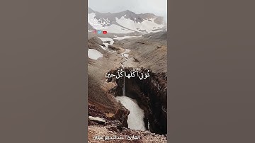 القارئ /عبدالبديع غيلان