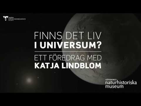 Video: Finns Det Ett Universellt Språk I Universum? - Alternativ Vy