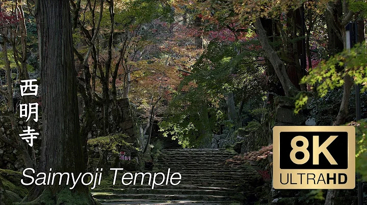 Saimyoji Temple - Shiga - 西明寺 - 8K Ultra HD - 天天要闻