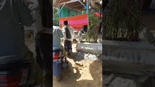 Sholawat Merdu Kh Kholil Yasin Terbaru 2022