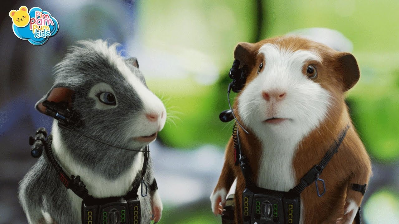 Rescue team hamster combat