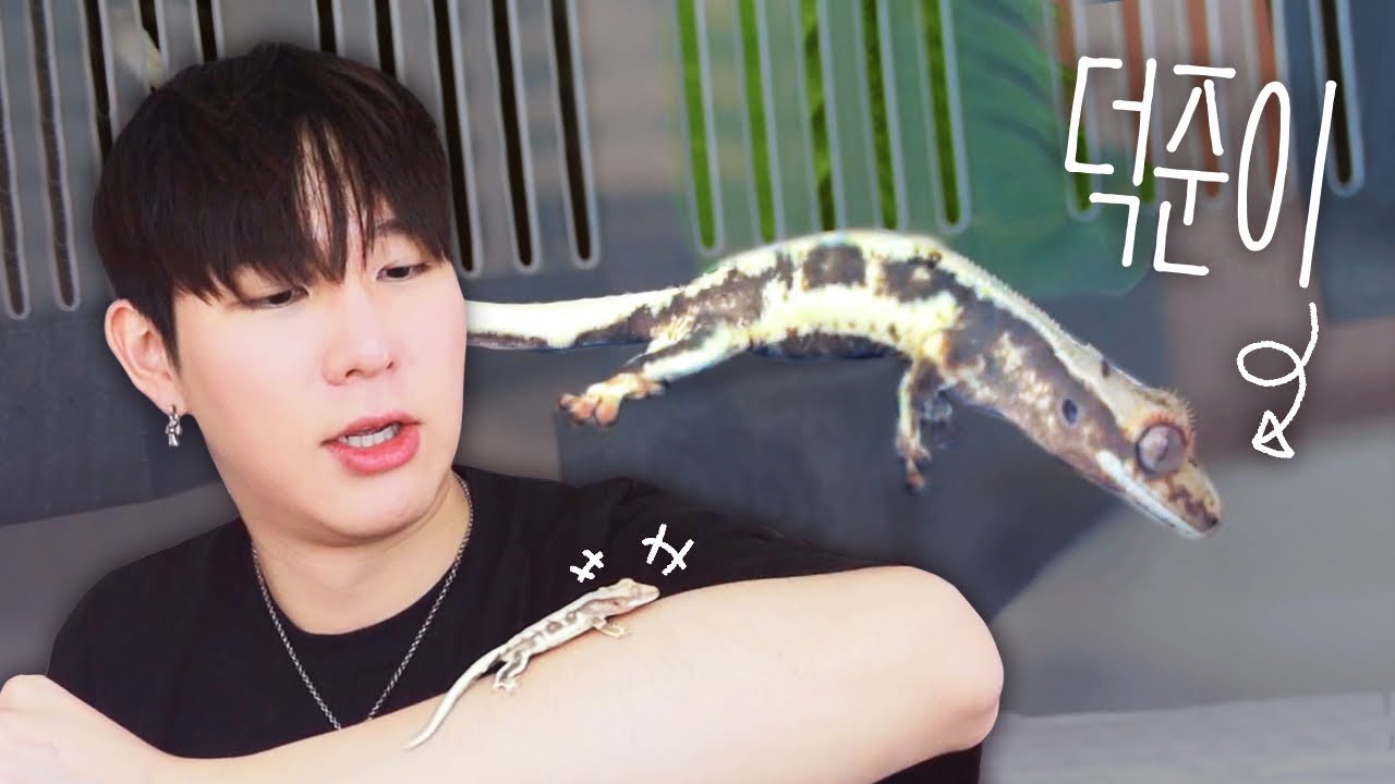 소개합니다, 새로운 가족 