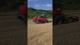 Turning your feed into a harvesting festival? 🌾