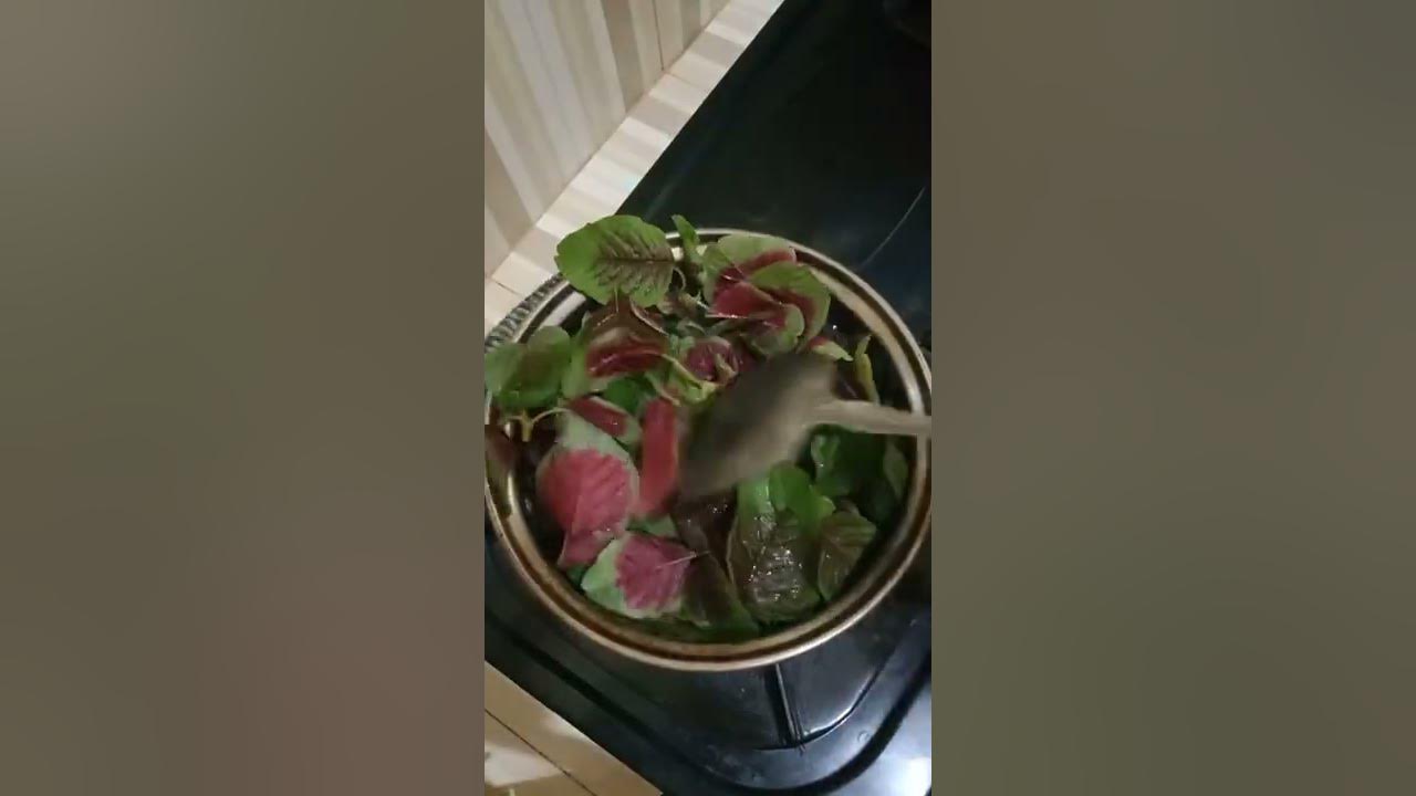 MASAK APA HARI INI? MASAK BAYAM MERAH