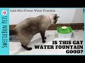 Catit Mini Flower Water Fountain Unbox + Set Up | REVIEW