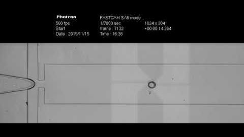 Movie 4-3 Trapping, sticking to hydrophilic patch, and active release by electrowetting
