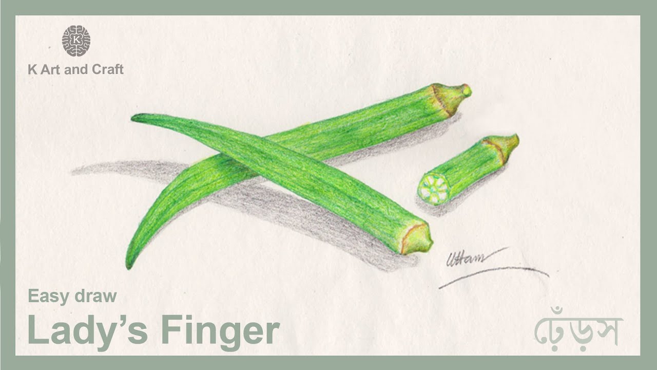 Share 147+ lady finger drawing latest