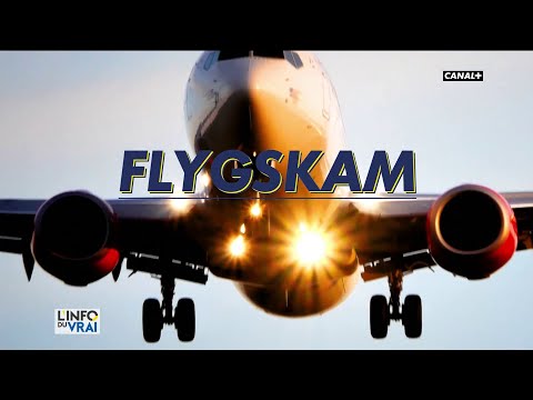 Vidéo: La Honte De L'avion Condamne Les Suédois à Voyager En Train