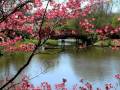 My Choice 352 - Tchaikovsky: Piano Concerto No. 1