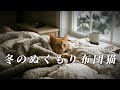 [ASMR] Cold winter mornings call for a cozy cat in a futon | Greensleeves