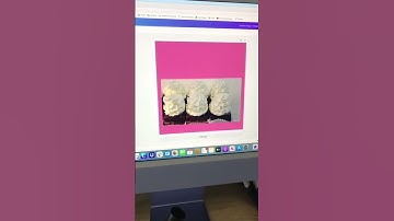 How to easily resize any video with Canva