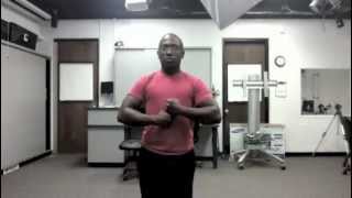 ECL  Elemental classifiers story