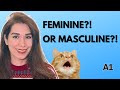 🔥Feminine or Masculine? Easy French Gender Tricks (A1)