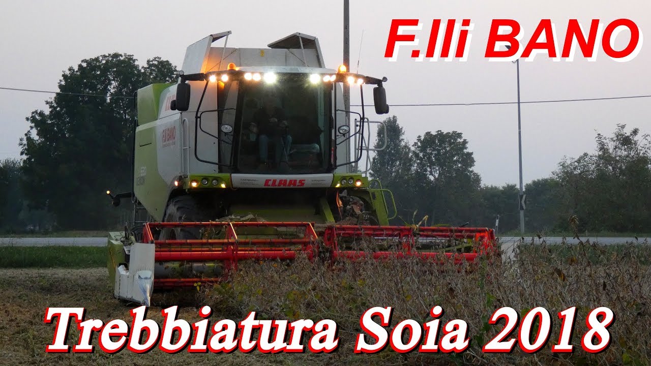 Claas Lexion 630 + Cressoni CRX SojaFlex | Soybean Harvest | BANO