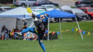 Vanessa Fanelli And Stella- Updog Freestylelevel 2. Virtual Competition