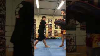 2018051501 toellgym.com