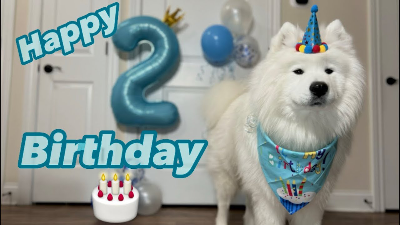 It’s my 2nd Birthday!!! - YouTube