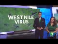 Sacramento County West Nile Virus activity increases, officials say