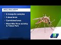 Sacramento County West Nile Virus activity increases, officials say