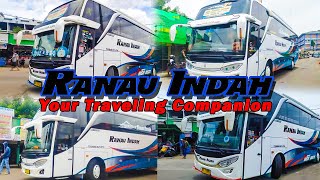 Kompilasi Bus Ranau indah Adi putro Jetbus High deck || HINO RK8 R260 || Bisnis RS