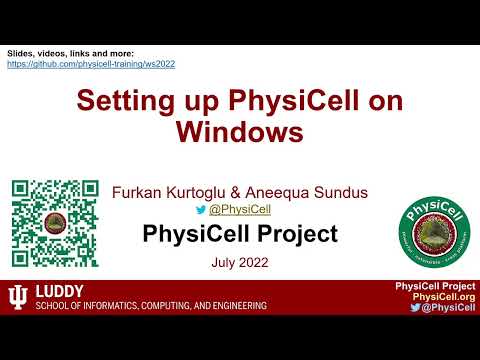PhysiCell Setup Guide for Windows (2022 edition)