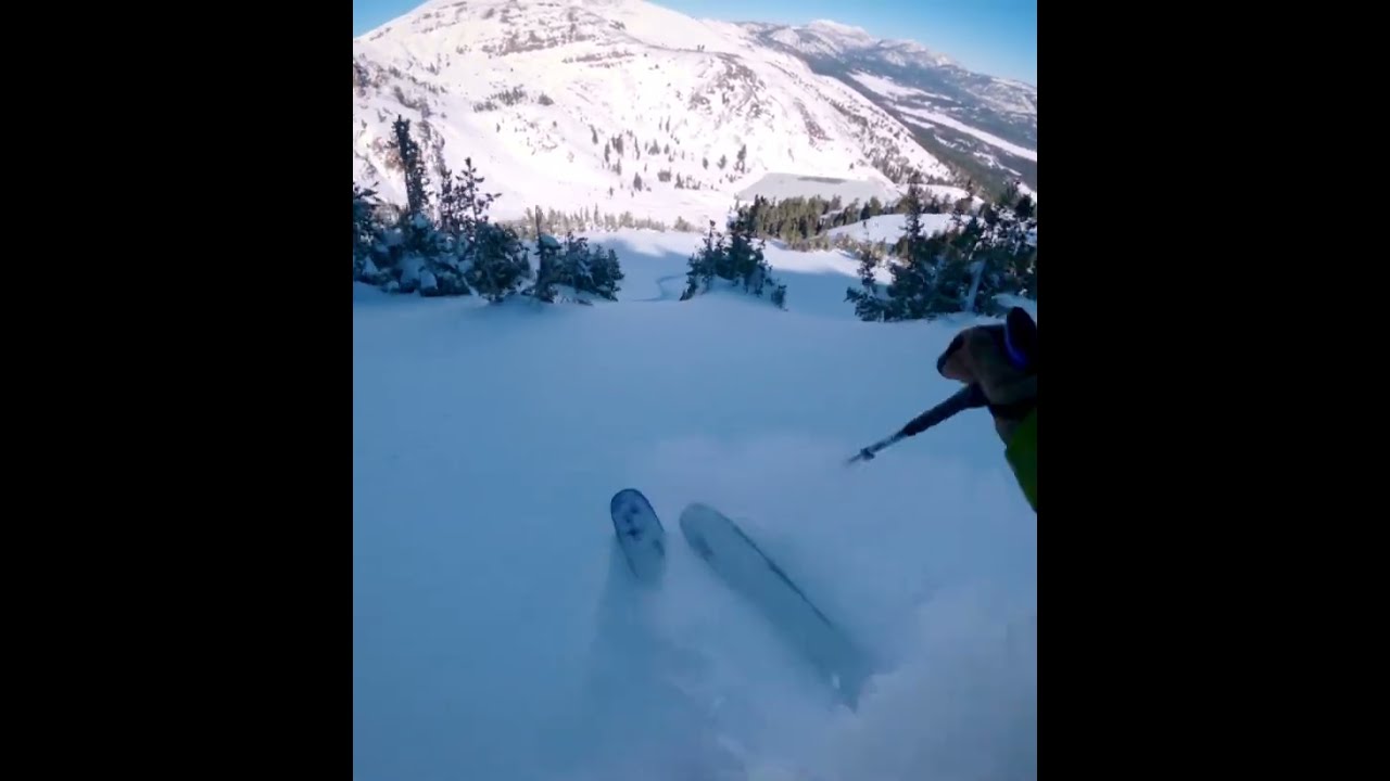 CORE SHOT! BC shark got me on the First day of the season 🦈🦈 🤦🤦