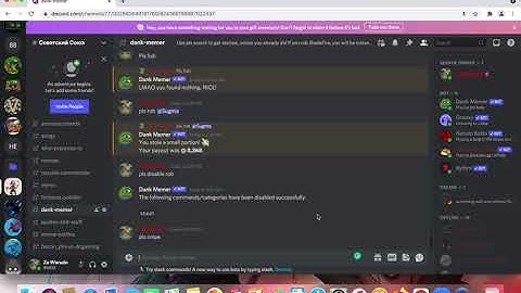 how to enable/disable dank memer commands on discord