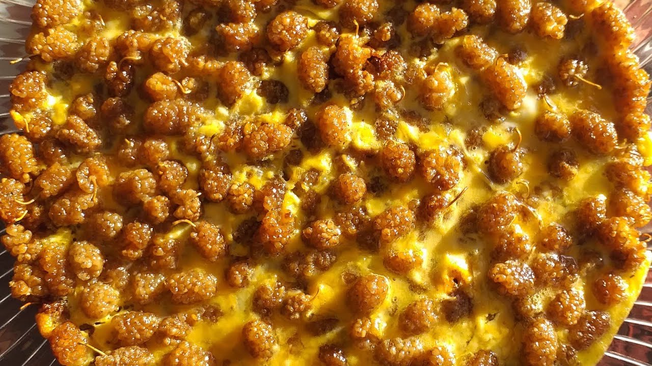 Erzurum dut çullaması💯yöresel tatlılar