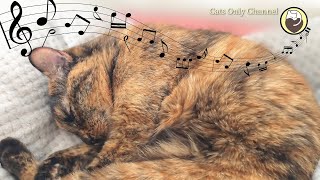 Deeply Peaceful Music for Stressed Cats  528 Hz & Cat Purring Sounds