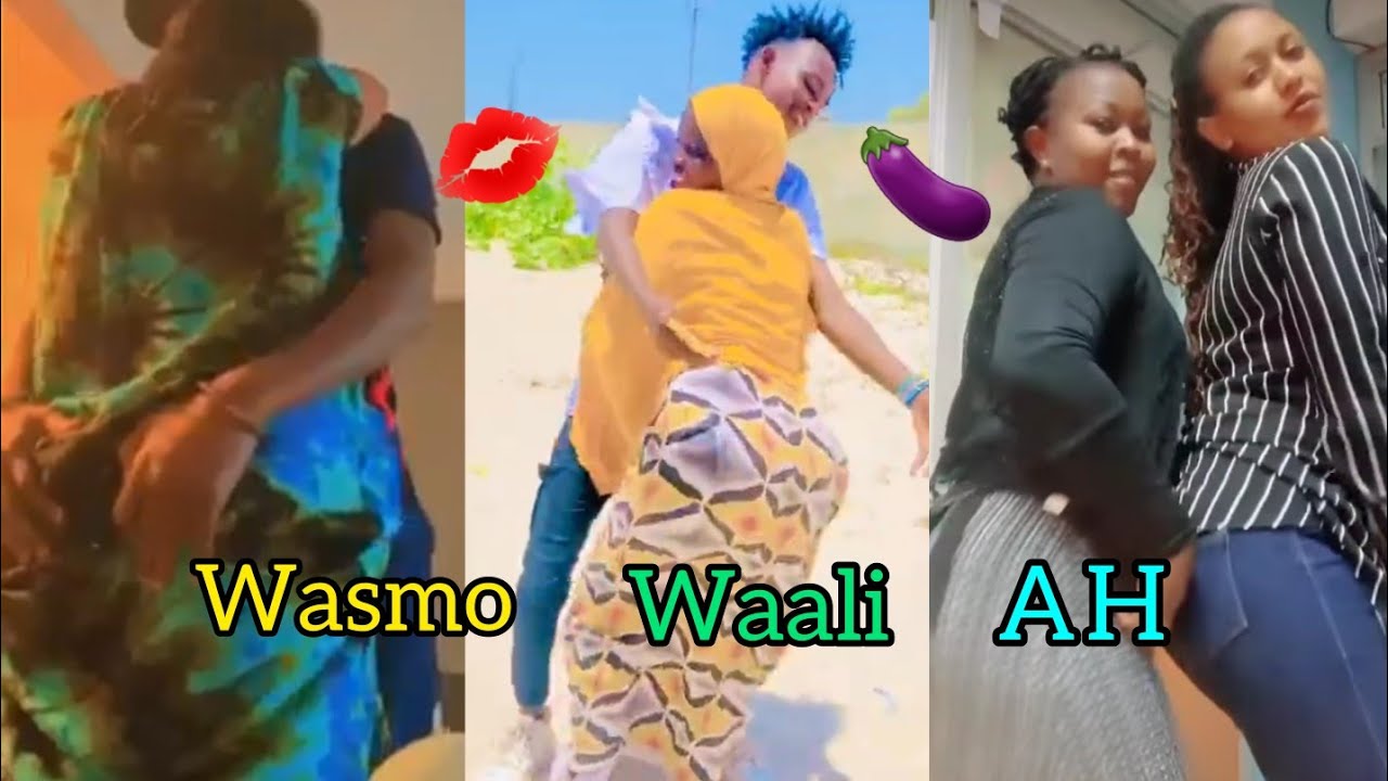 bashal-raaxo-macan-xebta-liido-wasmo-waali-ah-siigo-live-ah-2022-youtube