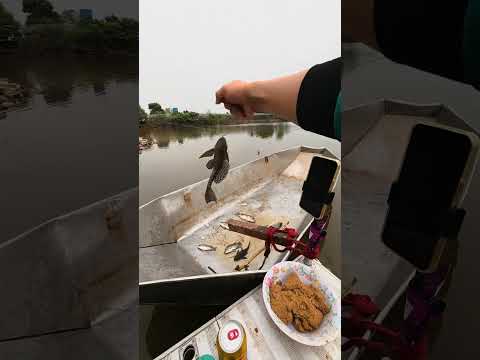 Ký sự cần thủ 17/4/2026