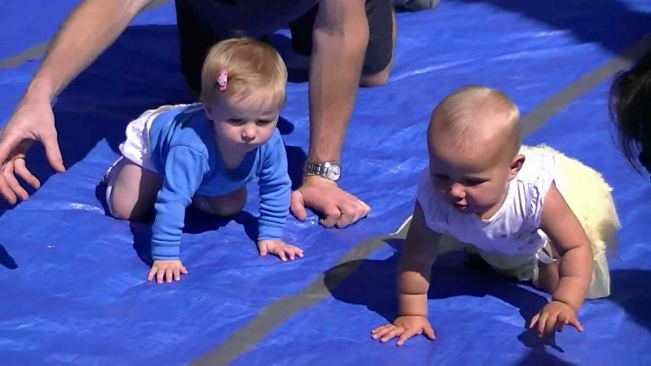 Baby Racing! Diaper Derby Baby Race YouTube